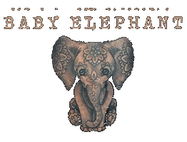 Baby Elephant